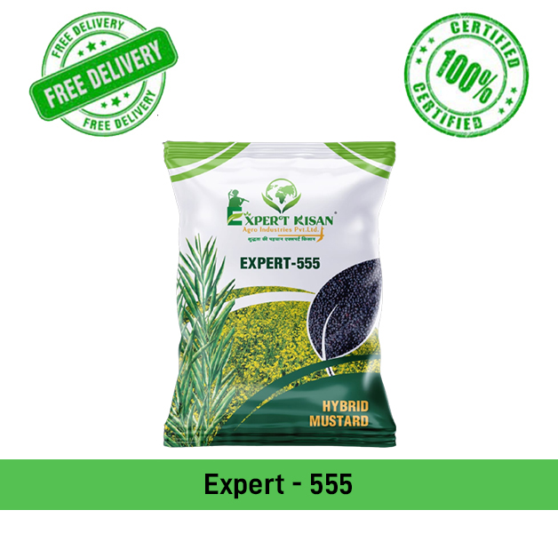 Mustard-Seeds-Expert-555-Expert-Kisan-Agro-Industries-Pvt-Ltd-N